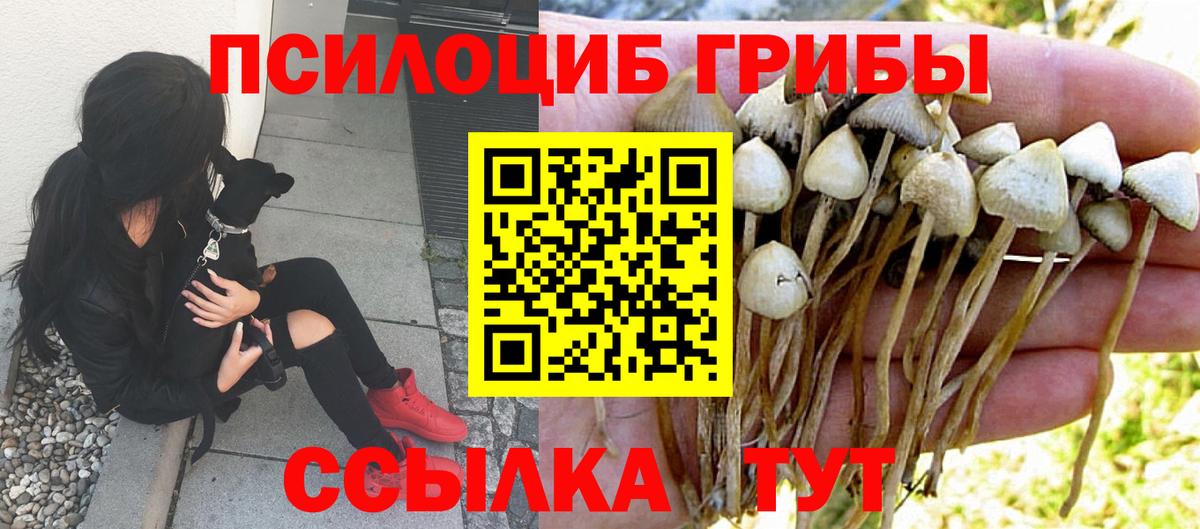 где можно купить наркотик  Вход с VPN  Галлюциногенные грибы Cubensis  Тольятти  Псилоцибиновые грибы Psilocybe 