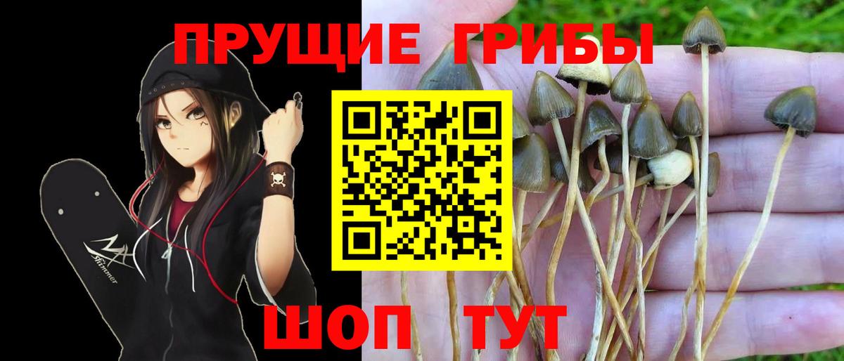 Галлюциногенные грибы мицелий Тольятти